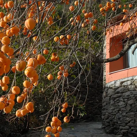 Hotel Masia D'en Valenti