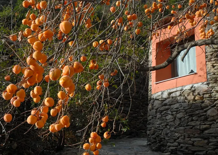 Hotel Masia D'en Valenti